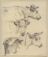 X+ 004
<br/>
Studies van koeien
<br/>
<em>Bernard, Jean (Jan) (1765-1833)</em>